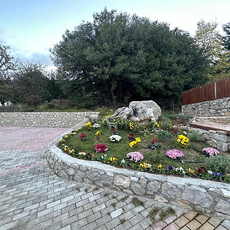 Parnassos Chalets Arachova Esterno foto